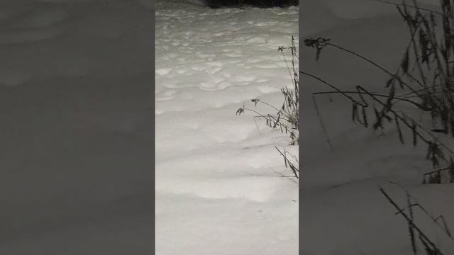 Осмотрр Царского Павельона в городе Солнечногорск в Новогоднюю Ночь 2023 года
