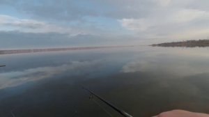 ОТВОДНОЙ ПОВОДОК НА ХИЩНИКА. КАК ЕГО ДЕЛАЮ Я. ЗАЧЕМ ОН НУЖЕН И ЧТО НА НЕГО КЛЮЕТ