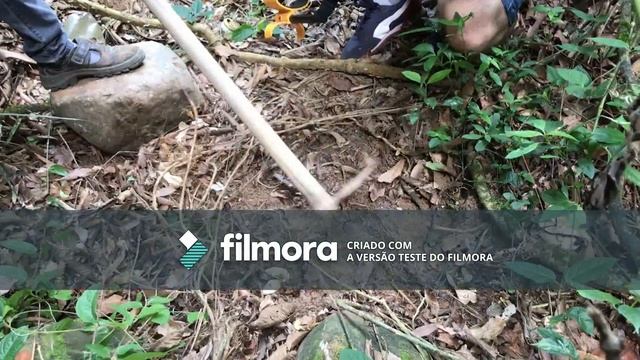 TESTANDO MD3010 ii NA FAZENDA смотреть онлайн