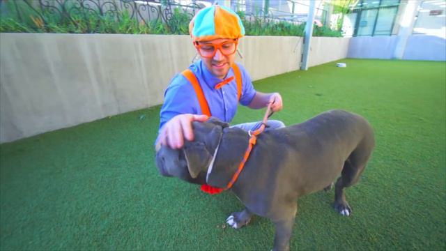 Blippi Visits a Science Museum! | Blippi | Animals for Kids смотреть онлайн