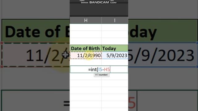 STOP Using Calculator to Calculate Your Age  Instead Use This Method #excel  #shortsvideo