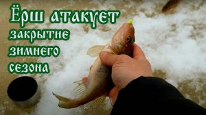 БОЛЬШОЙ ЕРШ!ЗИМНЯЯ РЫБАЛКА2021 #зимняярыбалка.