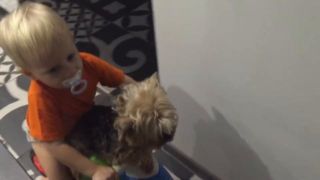 Детский Беговел с 1 года. Учимся держать равновесие . смотреть онлайн