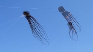 Воздушный змей (осьминог)