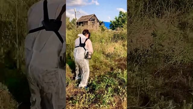 Обзор аккумуляторного триммера ProCraft смотреть онлайн