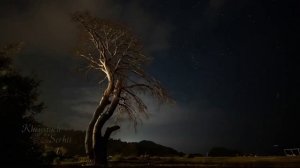 Загрузки ThetaHealing - Медитация "Я есмь тот, кто я ЕСМЬ"