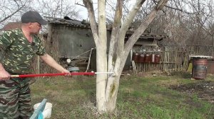 Кисть для побелки деревьев