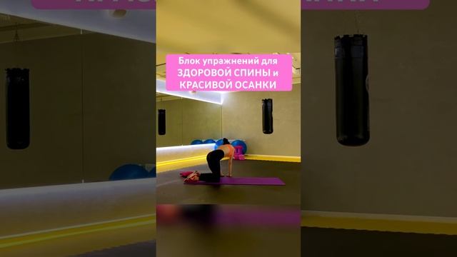 #enstretching #stretching #здороваяспина