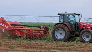 Защита раннего картофеля от сорняков, болезней и вредителей!