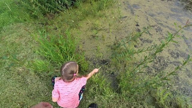 Доченьки, это заброшенный пруд из моего детства в пос.Сусанино едем за водой на родник на Воксике смотреть онлайн