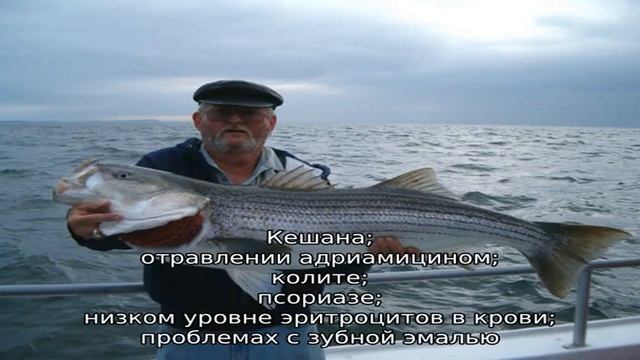 Луфарь смотреть онлайн