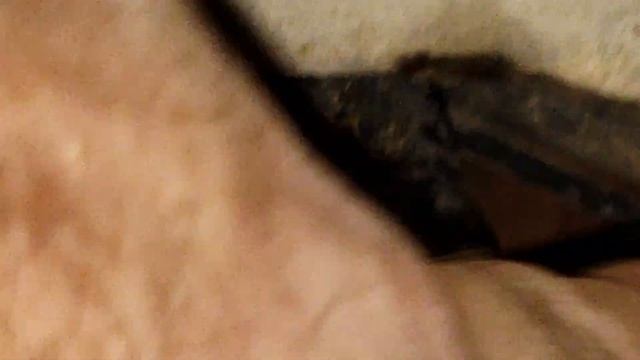 ECM B fuse blowing 98 Chevy GMC problem found. No start 5.7 Vortec смотреть онлайн