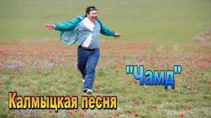 Калмыцкая песня "Чамд". Элиста. Калмыкия.