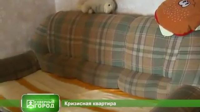 Кризисные квартиры в Усть-Илимске смотреть онлайн