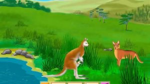 домовенок бу мир животных,жираф кенгуру акула