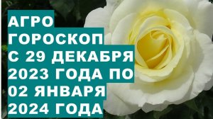 Агрогороскоп с 29 декабря 2023-02 января 2024Agrohoroscope from December 29, 2023 to January 2, 2024