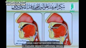 Айман Сувейд. 26. Правила нун с сукуном: ИХФА (механизм) 2 (с субтитрами)