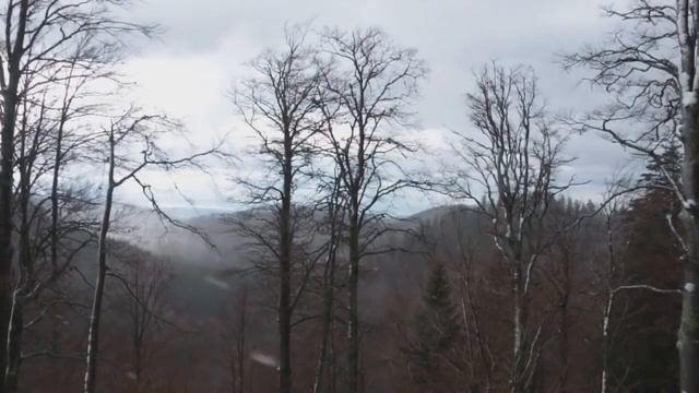 HEINRICH HEINE - EIN FICHTENBAUM STEHT EINSAM смотреть онлайн