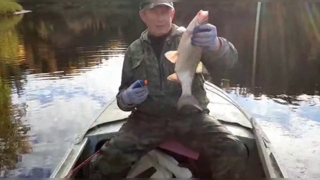 Встреча друзей. И на природу. Часть 2. смотреть онлайн