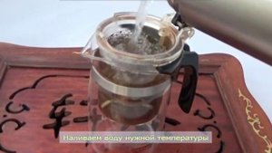 Что такое Типод (типот) изипод, чайник гунфу с кнопкой