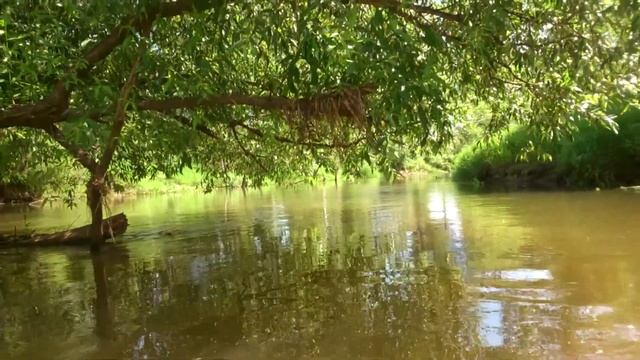 Река Киржач смотреть онлайн