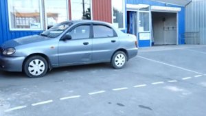 До 100 000 штрафа за спиленное дерево