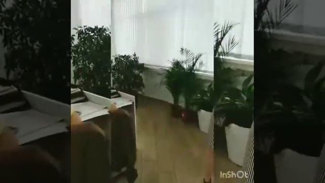Монтаж вертикальной фитостены.