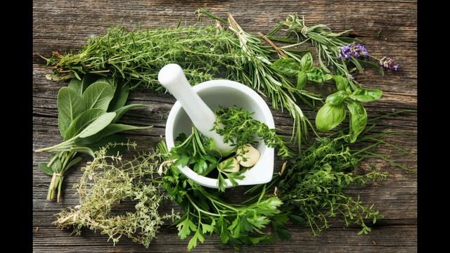 Роза Остина - Scarborough Fair. Милая скромница с поэтической душой.