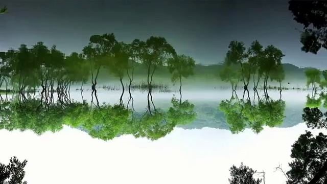 Красивая музыка Звуки живой природы Sounds Of Nature смотреть онлайн