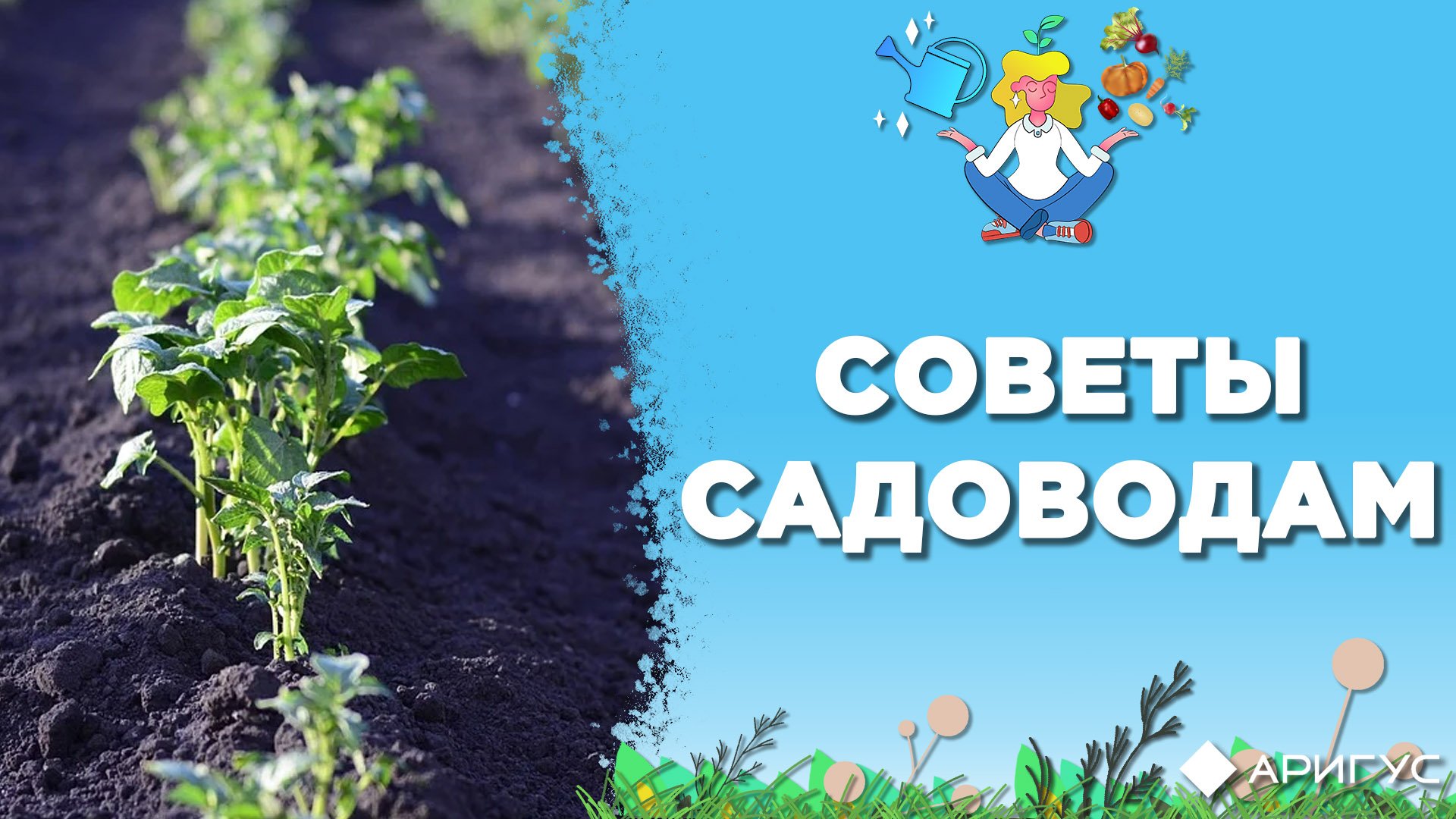 1 4 3 садовод. Советы огородникам. Советы садоводам и огородникам. Советы садоводу и огороднику в картинках. Герб садовода.