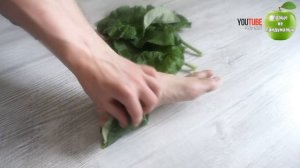 Компресс от пяточной шпоры из листьев лопуха (Репейника)