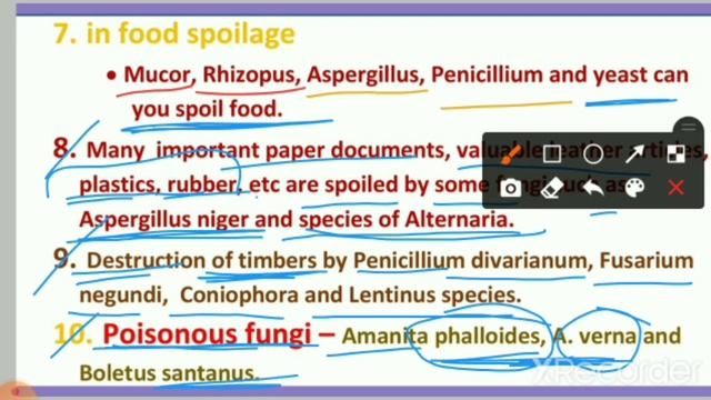TGT GIC PGT BIOLOGY (fungi economic importance and plant pathology) free course with pdf notes смотреть онлайн