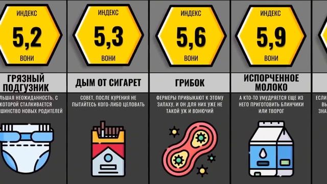 Сравнение  Худшие запахи