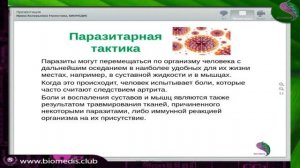 Пояснично-крестцовый радикулит: симптомы, лечение, массаж, упражнения | лечение при радикулите