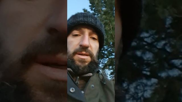 Доращивание перцев