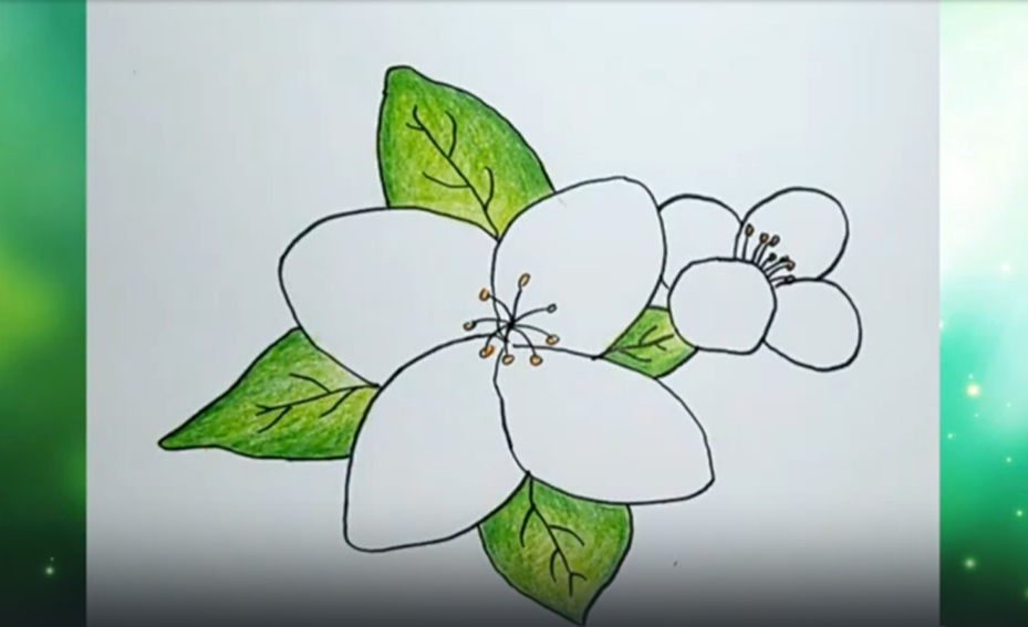 Рисуем Жасмин смотреть онлайн