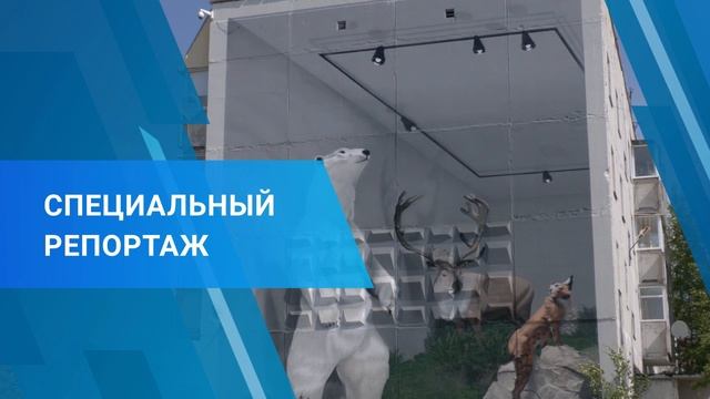 "Специальный репортаж. Муралы", 29 февраля 2024 г.