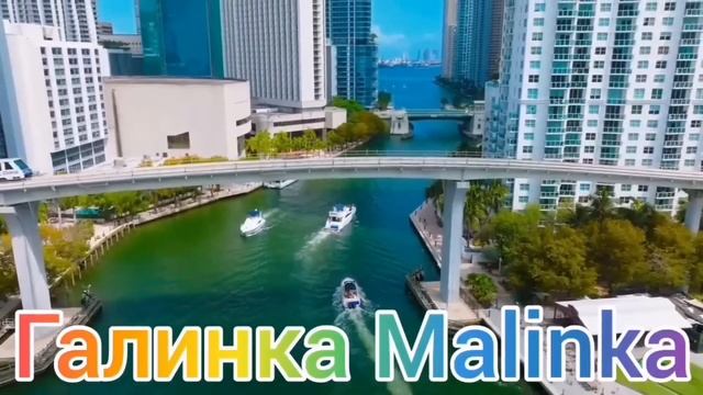 Ольга Уралочка live /Забухали и не вышли на работу /Обзор Влогов /Уралочка и Сафар /