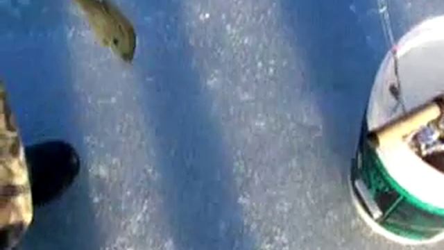 Ice Fishing Tip-Up pointers смотреть онлайн