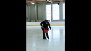 История первого года обучения фигурному катанию