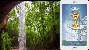 Медитация туз кубков