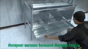 Клетка для кур несушек с яйцесборником на 9-12 голов (120 см трехсекционная) от Большого Фермера