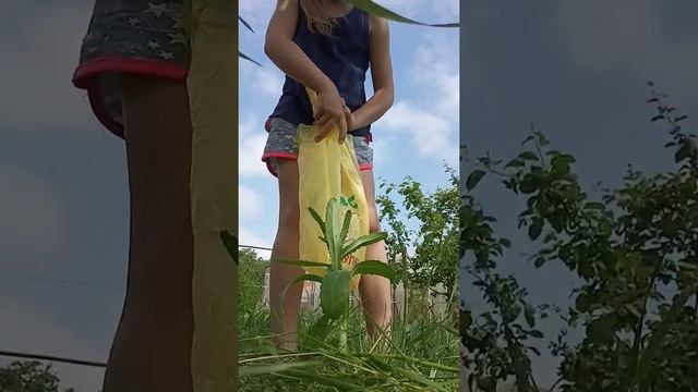 Как правильно сложить пакет! смотреть онлайн