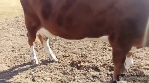 НАВОДИМ ПОРЯДКИ В ХОЗЯЙСТВЕ?