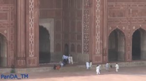 5 Стран Где Можно Купить Жену