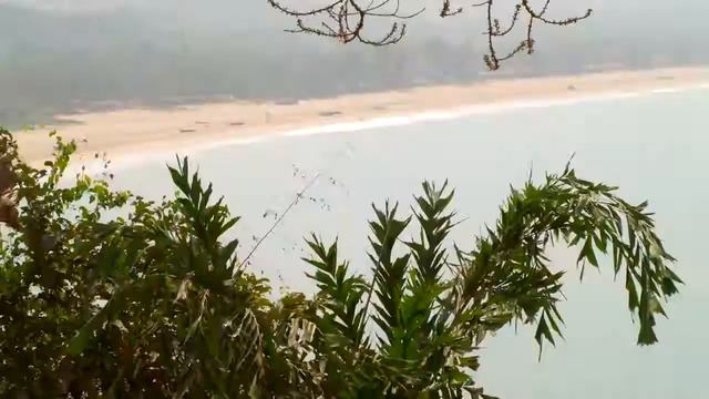 Ibanez GWB35  Agonda смотреть онлайн