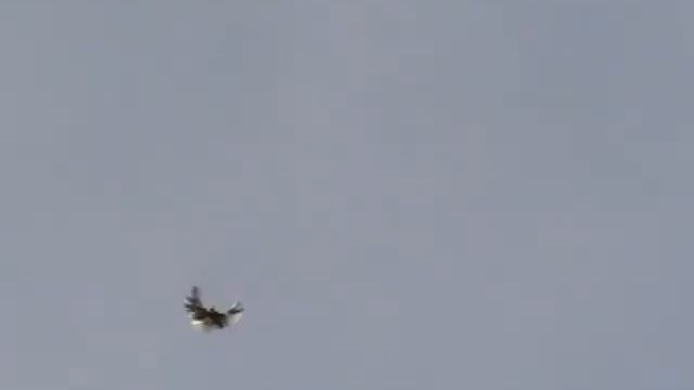 Декабрьские тренировки 2021г. СВГ Леонов С.А. смотреть онлайн