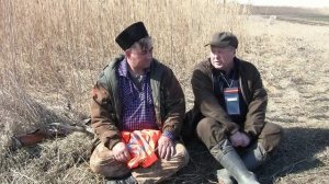 ГОНЧИЕ давят ЗВЕРЯ! ВОЛЧАТНИКИ в деле.