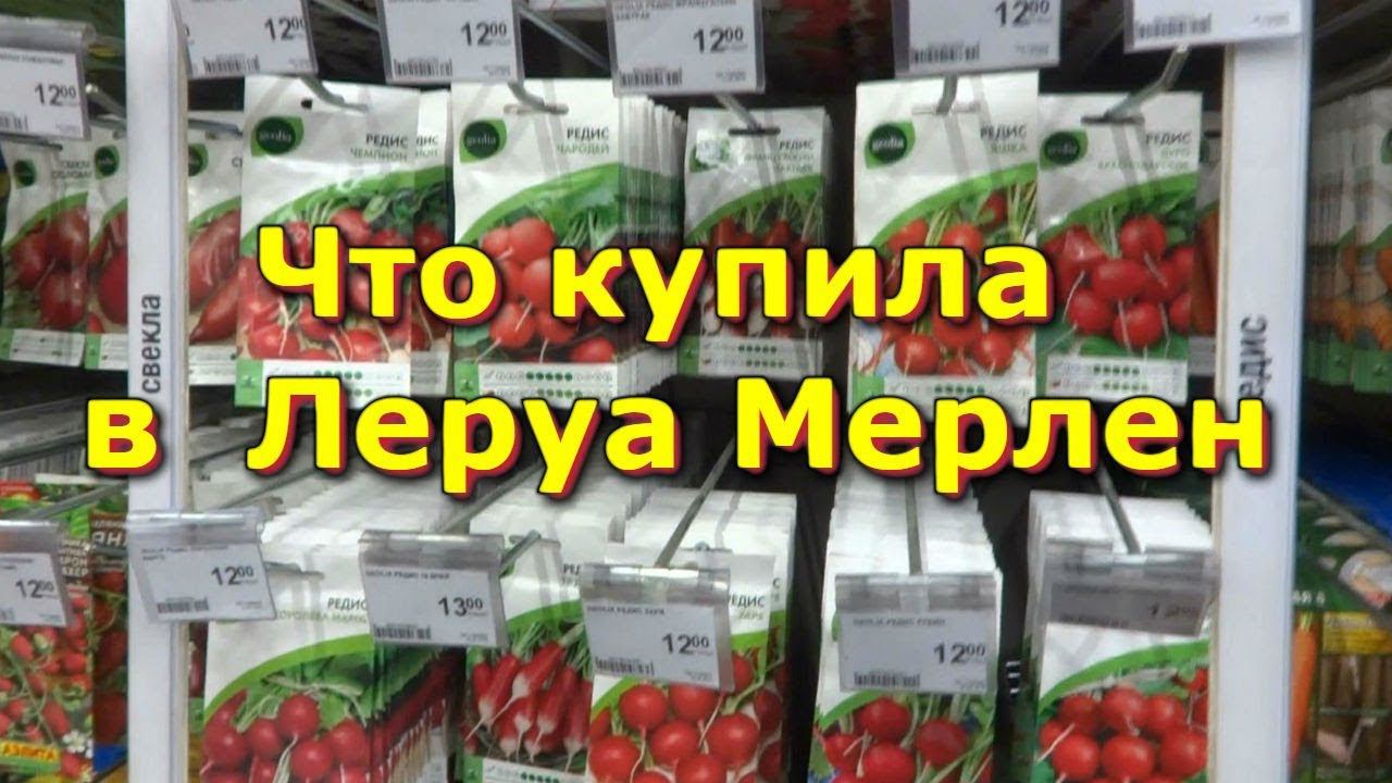В  Леруа Мерлен за семенами.