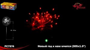 Фейерверк РС7974 "Новый год к нам мчится" (1" х 305 залпов)